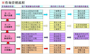 項目諮詢服務流程