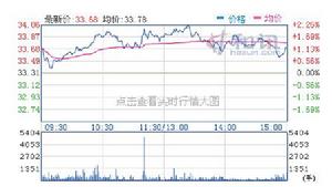 China Pingmei Shenma Energy & Chemical Group Co.