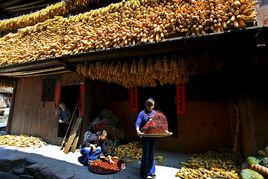 里仁村[貴州黔東南苗族侗族自治州里仁村]