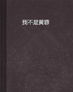 我不是黃蓉[網路小說]