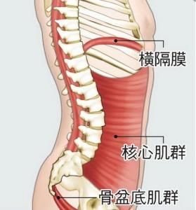 核心肌群