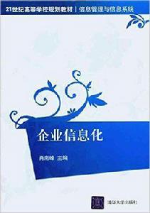 企業信息化[肖南峰主編書籍]