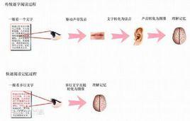 快速閱讀[閱讀或學習方式]