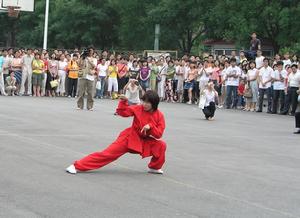 秘門螳螂拳