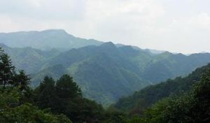 高家山[湖北省荊門市東寶區與南漳縣交界]