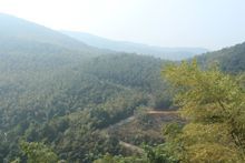 鳳凰山國家級森林公園