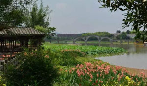 花樣龍水湖景區