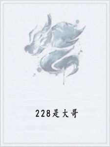 228是大哥