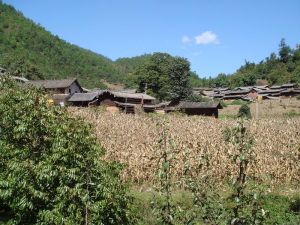 天登自然村