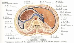 小網膜孔