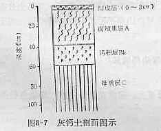 灰鈣土