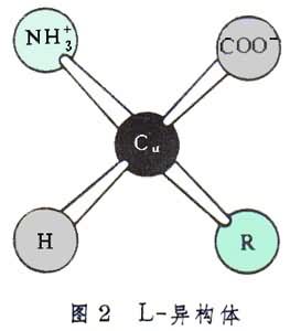 蛋白質晶體化學