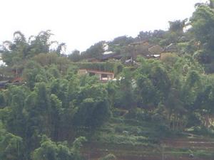 半山村[雲南省普洱市讕滄縣富邦鄉半山村]