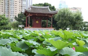 福州茶亭公園