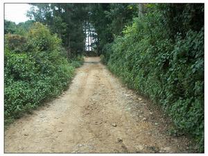 雲南省龍陵縣臘勐鄉大埡口村進村道路