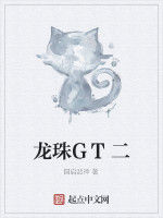 龍珠GT二