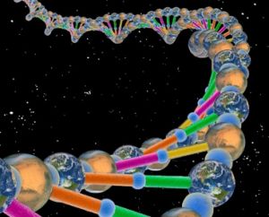 分析DNA或RNA分子序列是一種行之有效的方法