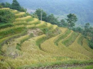 麒麟台漢族村