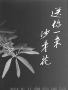 送你一束沙棗花