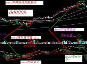 macd指標背離短線實戰案例