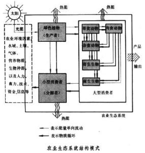 農業生態系統結構模式