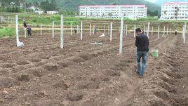 坑源村[福建省三明市永安市大湖鎮下轄村]