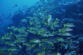 諸城東順水族世界