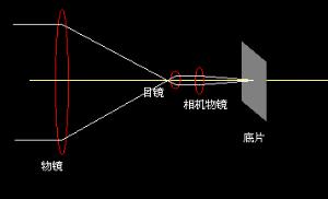 放大拍攝法