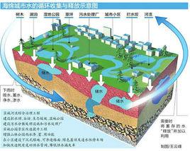 海綿城市[水資源管理策略和方法]