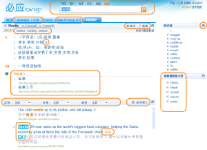 必應詞典