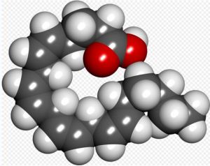 花生四烯酸3d結構模型