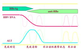 小三陽