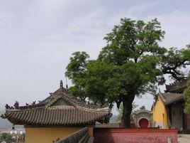 金頂寺[陝西省寶雞金頂寺]