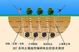 土壤電消毒法說明示意圖