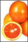摩洛血橙