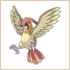 Pidgeotto