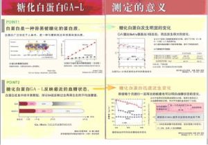 糖化白蛋白結構圖