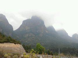 上坂村[福建漳州雲霄縣和平鄉下轄村]