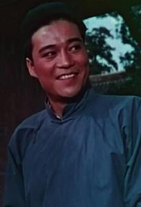 青春之歌[1959年崔嵬導演、謝芳主演的影片]