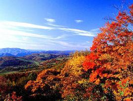 棲霞山[南京市棲霞區棲霞山]