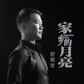 家鄉的月亮[舒曉龍演唱歌曲]