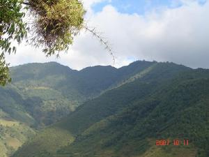 上小寨坡村生態山林