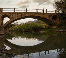 盧川橋