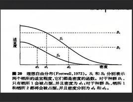 理想自由分布