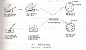 生化分離技術