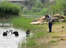 長春北湖國家濕地公園