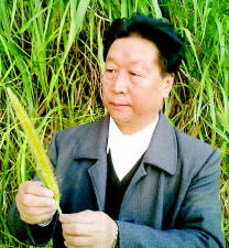 菌草發明人林教授