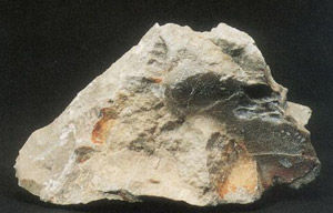 葉臘石