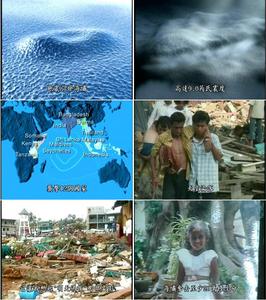 2004年南亞地震