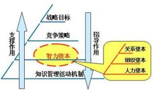 智力資本